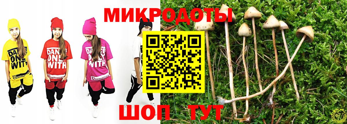 Алексин  Псилоцибиновые грибы мицелий  Вход с VPN  Псилоцибиновые грибы прущие грибы 